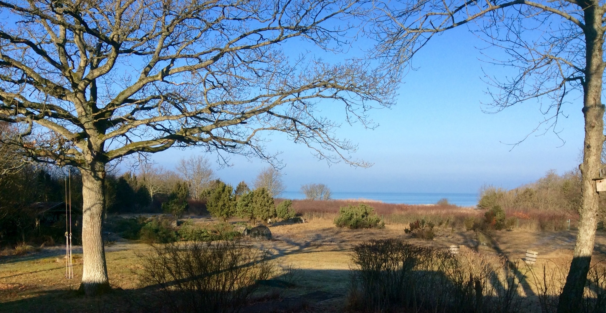 Vår i Borgehage 2016